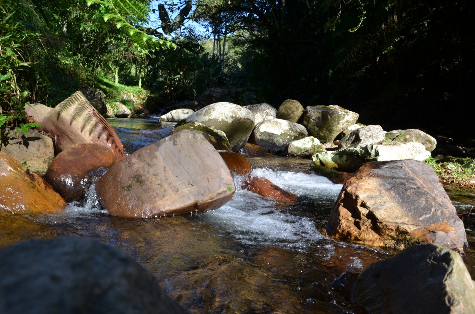 Blumenau celebra o Dia Mundial da Água com ações educativas da Semmas