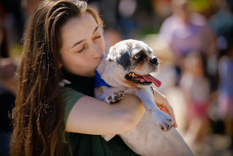 Mais de 700 animais atendidos no programa de castração gratuita da Prefeitura de Blumenau
