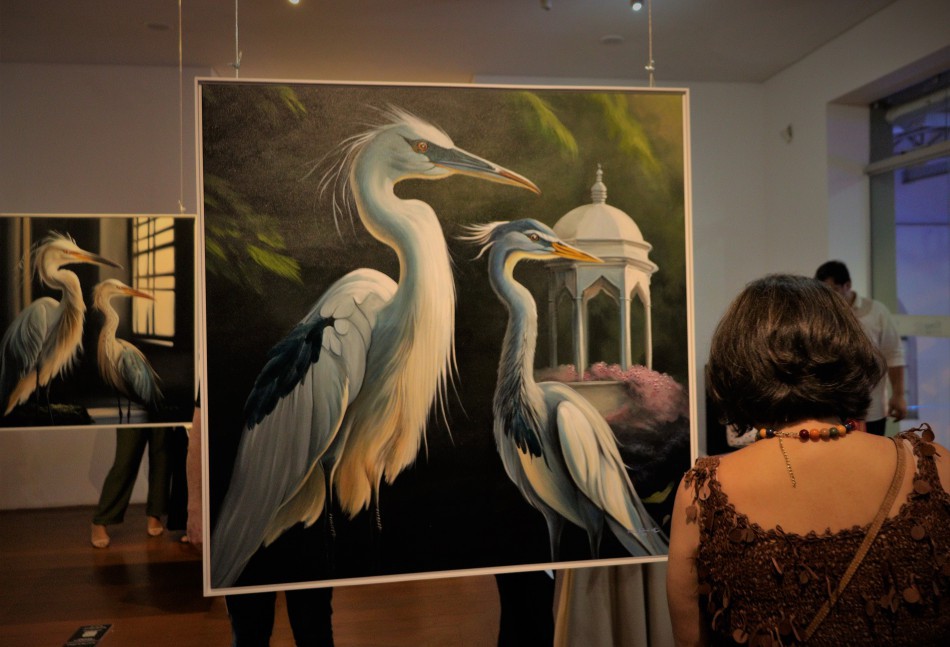 Museu de Arte de Blumenau abre a segunda temporada de exposições do ano