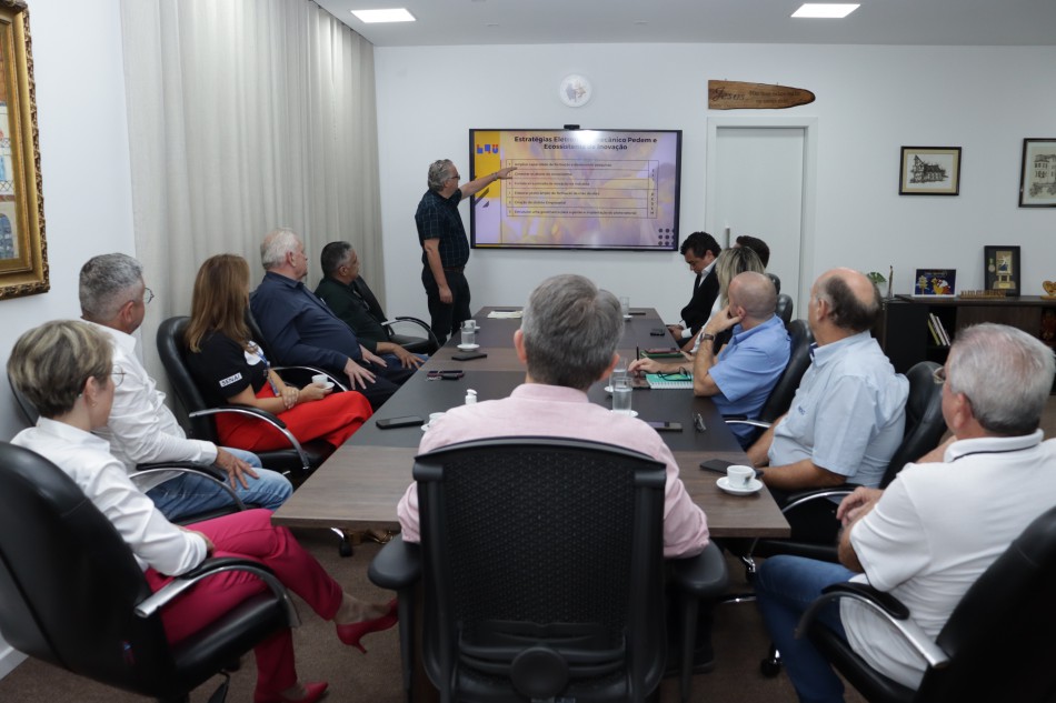 Capacitação de mão de obra é o principal tema da reunião da governança do setor eletrometalmecânico