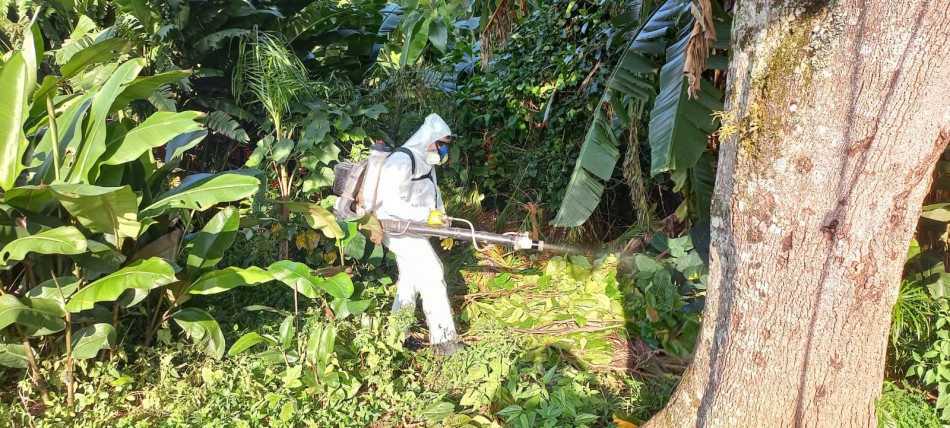 Fumacê será aplicado no bairro Garcia na segunda-feira, dia 27